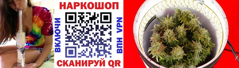 Виды наркоты Курчатов Бошки Шишки  Меф  МЕТАДОН  ГАШ 