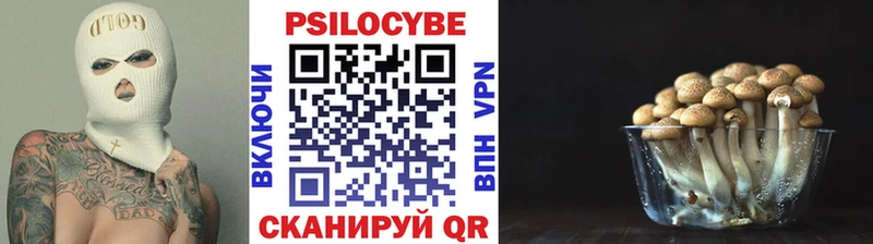 Галлюциногенные грибы Psilocybe  где продают наркотики  Курчатов 